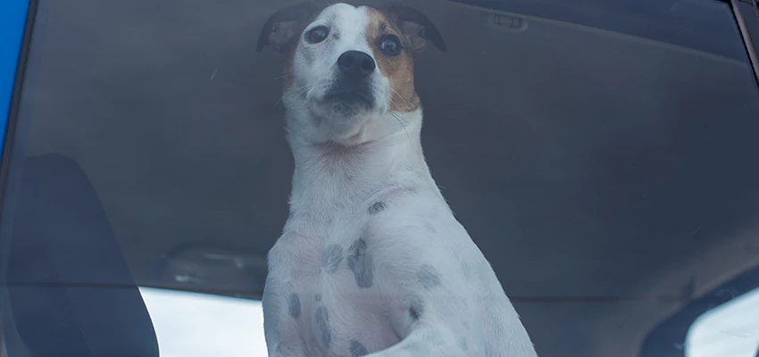 Car Lockout Solutions in Riverside, California